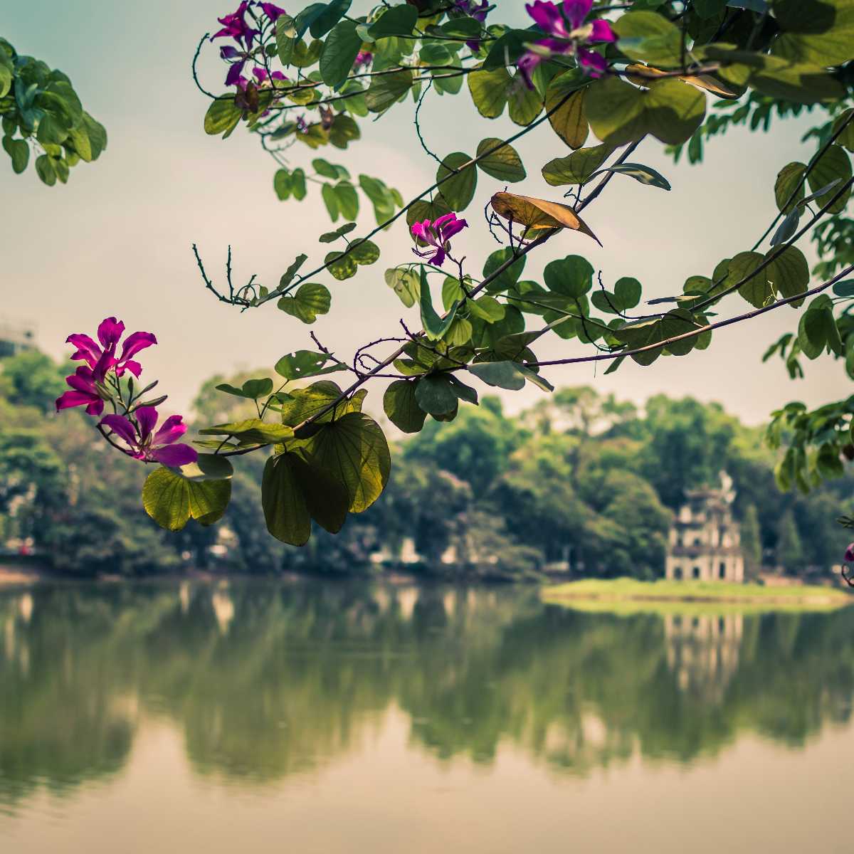 Hanoi